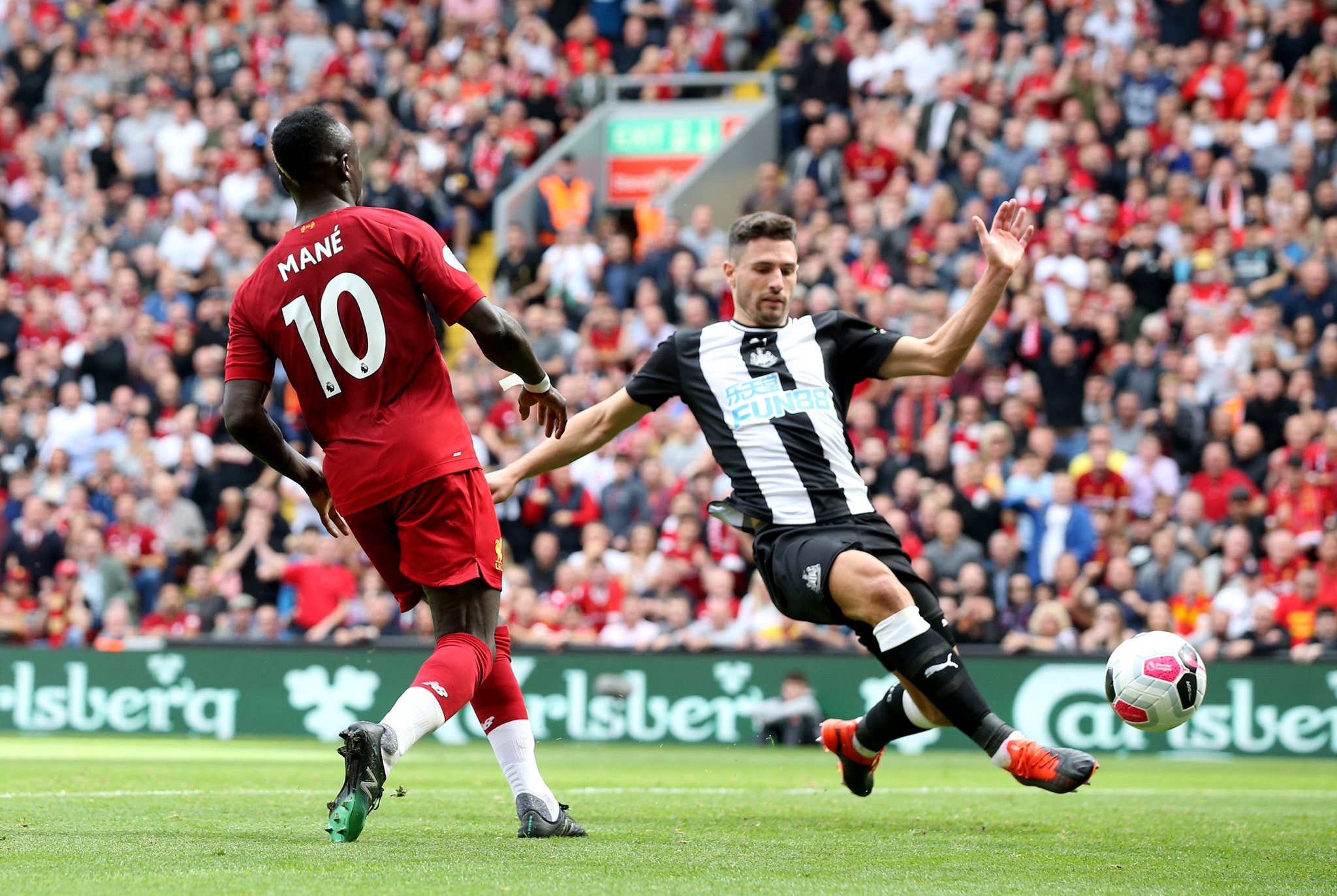 这一高昂的 这一高昂的